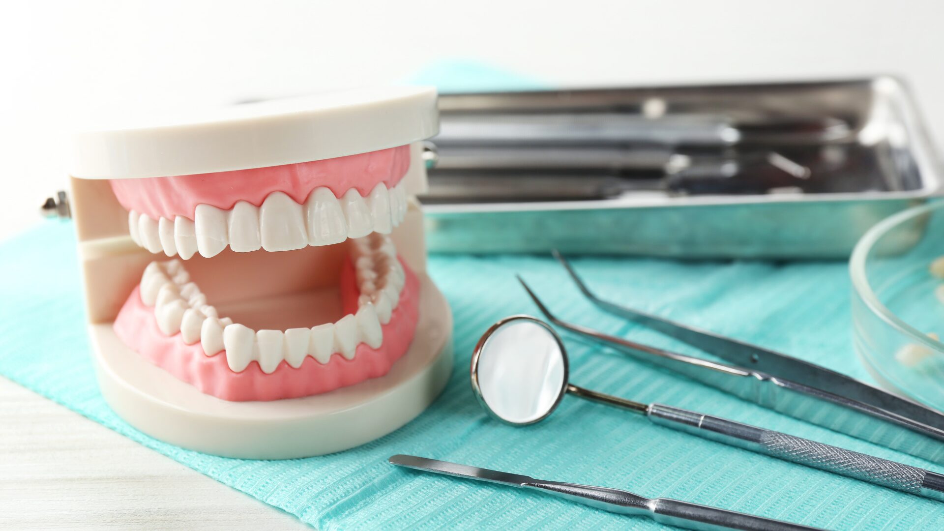 Ortodonti Polikliniği